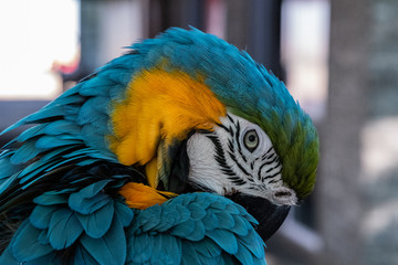 AMAZING NATURE AND ANIMALS IN NAMIBIA