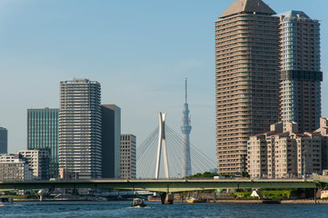 ビルの隙間から見える東京スカイツリー