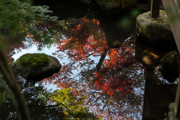 日本の秋の風景、もみじと色づき始めた山々