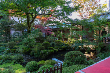 日本の秋の風景、もみじと色づき始めた山々