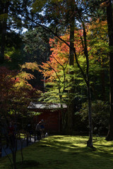 日本の秋の風景、もみじと色づき始めた山々