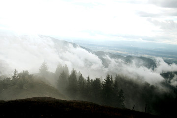 Ausblick über den nebligen Schwarzwald