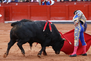 Torero durante la lidia en la plaza de toros