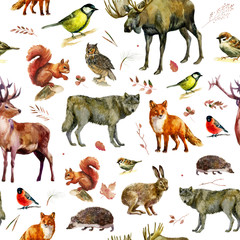 Watercolor illustration, pattern. Forest animals on a white background. Elk, wolf, fox, hare, squirrel, hedgehog, tit, bullfinch, owl, deer, sparrow.