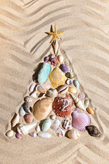 Christmas tree  made from shells and corals on beach sand, flat lay ,vertical composition