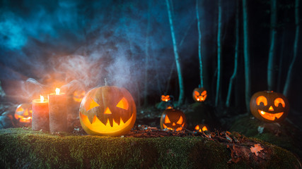 Halloween pumpkins on dark spooky forest with blue fog in background.