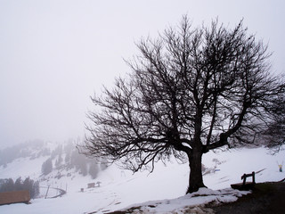 Panoramic View of Mount Rigi (Rigi Kulm), iced Swiss Alps in fogy day - Lucerne, Switzerland.