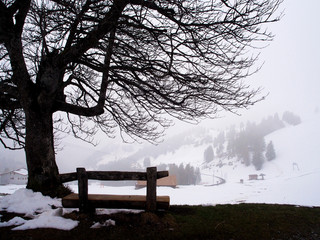 Winter landscape of Mount Rigi (Rigi Kulm) during Spring time - Lucerne, Switzerland. The Apple tree. Travel concept.