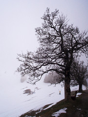 View of Mount Rigi (Rigi Kulm), iced Swiss Alps in fogy day - Lucerne, Switzerland.