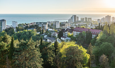 Green valley with the city Sochi in the sunshine.