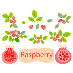 A set of elements. Pink jars with forest raspberry jam. Children's simple design. Vector hand drawn illustration.