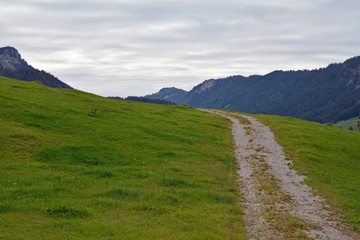 Fototapeta premium landschaft im kleinwalsertal