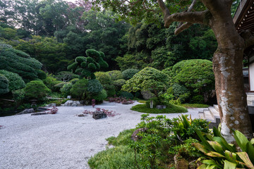 Fototapeta na wymiar 鎌倉 報国寺の庭園 / Garden