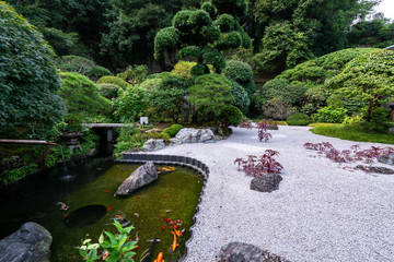 Fototapeta premium 鎌倉 報国寺の庭園 / Garden