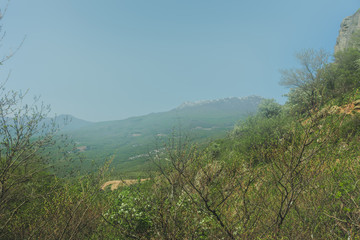 Hiking pathway- journey through roads, mystical nature