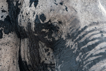 Fototapeta premium Éléphants au parc national d'etosha en Namibie, Afrique