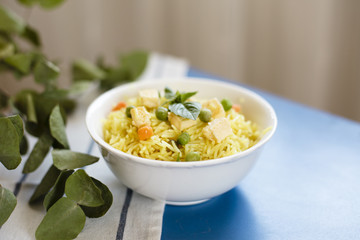 Traditional indian food with rice and chicken