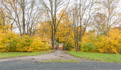 autumn in the park with bridge