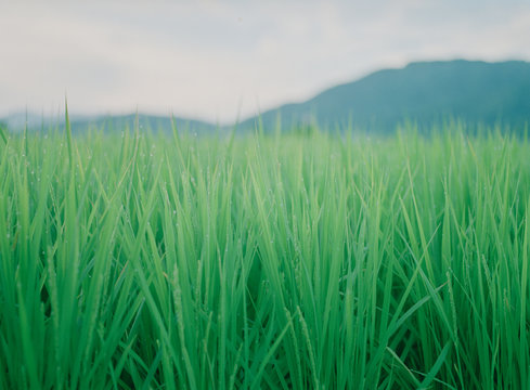 朝の澄んだ空気