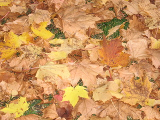 Herbst