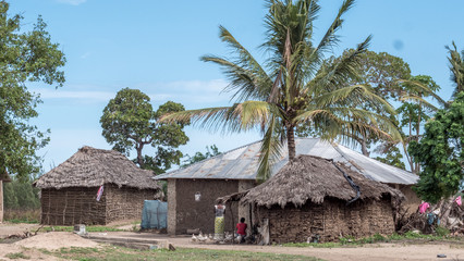 Fototapeta na wymiar African huts and palm trees