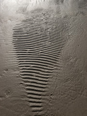 abstract sand texture suitable for background