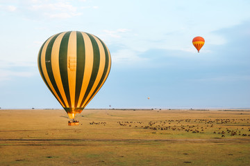 Obraz premium Hot Air Balloon flying over the Masai Mara National Reserve in Kenya, Africa