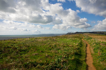 The pathway on top of the cliffs on the Jurassic coast in dorset