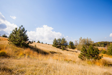 countryside autumn landscape