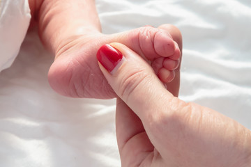 Newborns. Children's legs in the palm of your hand. Close-up.