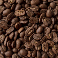 Roasted coffee beans background