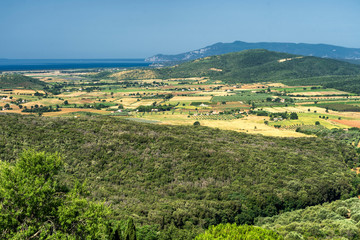 Fototapeta na wymiar Maremma landscape from Capalbio, Tuscany