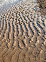 abstract sand texture suitable for background