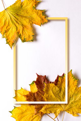 Yellow dry autumn leaves. Mockup with border. Top view