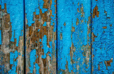 Cracked blue old paint. Old wooden background