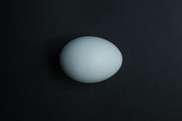 White chicken egg isolated on black background.