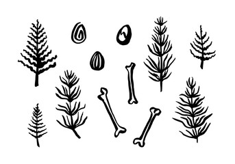 Ancient extinct jurassic dinosaur bones, eggs vector illustration ink painted, hand drawn grunge horsetail, black isolated equisetum silhouette on white background © Ekaterina