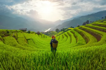 Fotobehang Rijstvelden Tribale vrouw, boer, met rijstterrassen, landbouwvelden op het platteland van Mu Cang Chai, Yen Bai, bergheuvelsvallei in Zuidoost-Azië, Vietnam. Natuur landschap achtergrond.  © tampatra