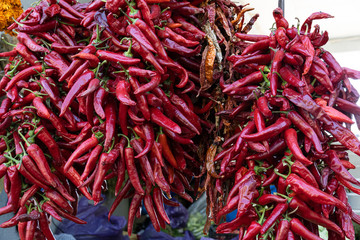 Fototapeta premium Dried red hot chili peppers