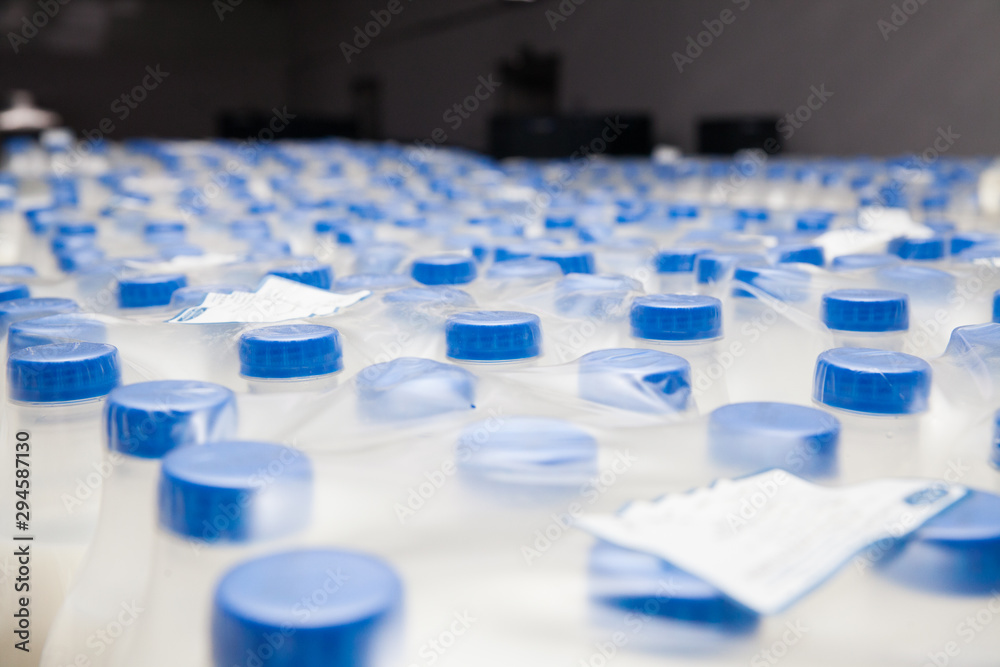 Wall mural row of milk bottles at a dairy factory