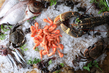 Fresh seafood and shrimps directly from the sea on ice in a street local market