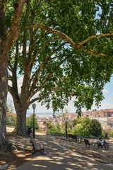 The Torel Garden (Jardim do Torel)