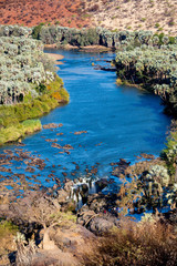 View over Kunene river and Epupa falls, Kaokoland, Namibia, Africa