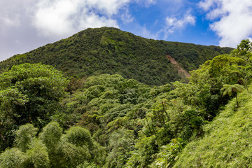 Fototapeta na wymiar Martinique, FWI - Carbet Mountains
