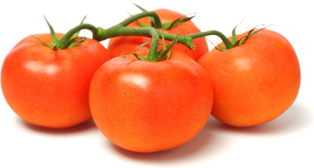 Four fresh juicy red bunch tomatoes on white background