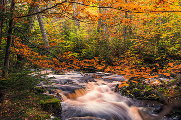 Autumn waterfall