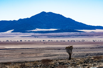 BEAUTIFUL LANDSCAPE OF NAMIBIA AFRICA