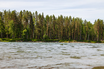 landscape with a closeup of the water of a river with a green coniferous trees on the opposite bank.