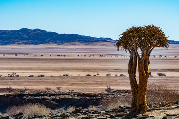 BEAUTIFUL LANDSCAPE OF NAMIBIA AFRICA
