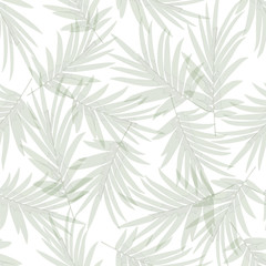 Tropical pattern background with palm leaves on white backdrop. Seamless green and white botanical backdrop. vector illustration.